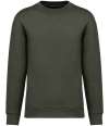 NS435 Native Spirit Unisex Crew Neck Sweatshirt Khaki colour image
